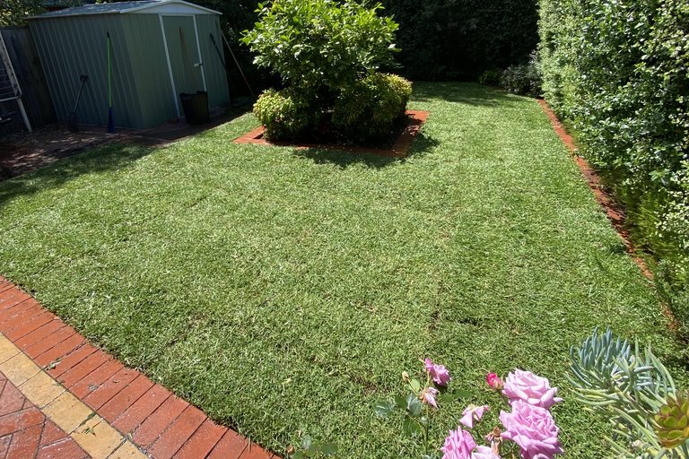 Well-maintained lawn with roses and brick paving