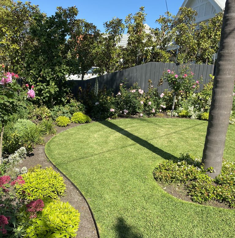 Curved lawn with lush mixed garden beds and pink roses