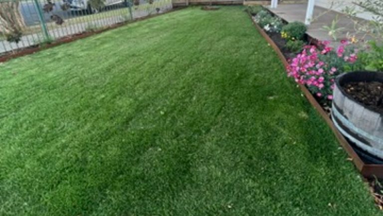Fresh clean lawn with neat garden beds and planting